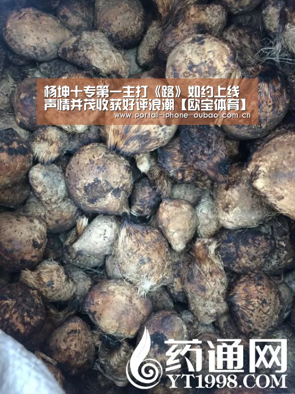杨坤十专第一主打《路》如约上线 声情并茂收获好评浪潮【欧宝体