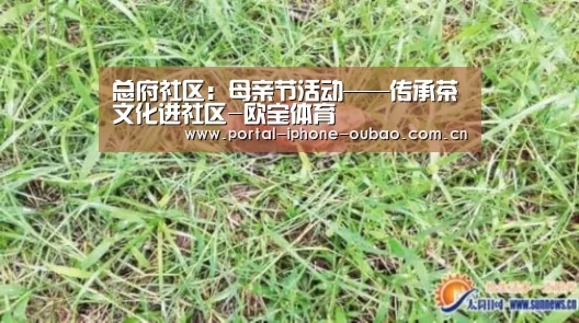 总府社区：母亲节活动——传承茶文化进社区