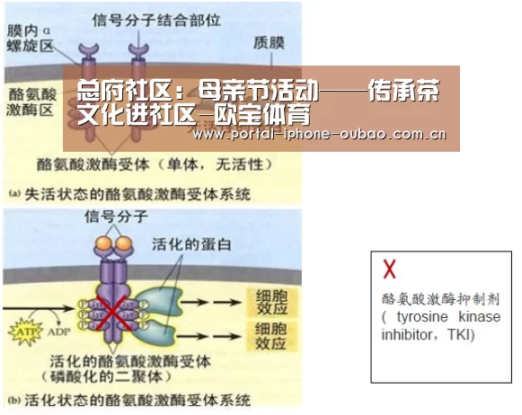 总府社区:母亲节活动——传承茶文化进社区-欧宝体育(图2) 欧宝体育